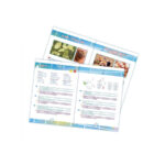 CHIMIE 75 EXPÉRIENCES