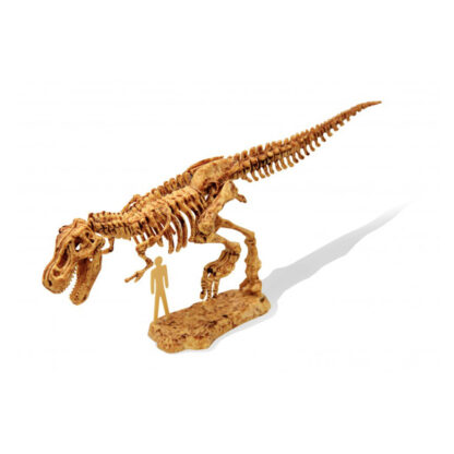 DINOKIT – 4 MODÈLES ASSORTIS-2