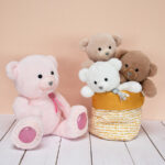 Ours en Peluche Marron – 25 cm-6