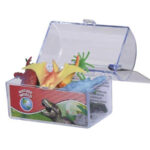 Dinosaure dans un coffre à trésor