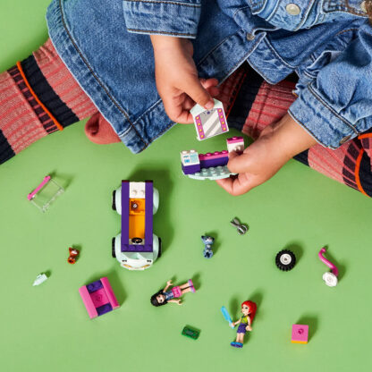 Voiture Toilettage Chat Friends