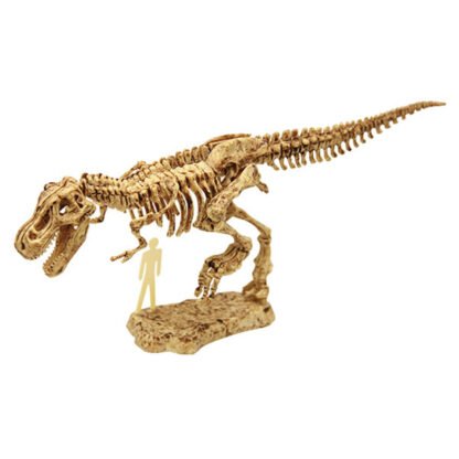 Kit d’excavation de tyrannausorus-1