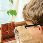 Découverte scientifique Vol 2 / Sciences de l'environnement