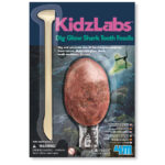 Fossiles de dents de requin Dig Glow