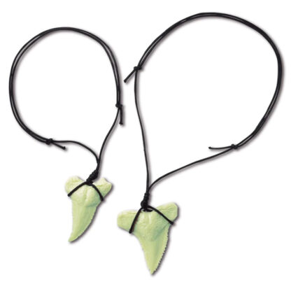 Fossiles de dents de requin Dig Glow-2