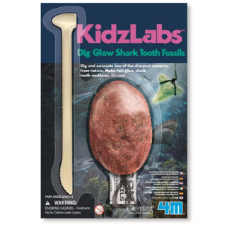 Fossiles de dents de requin Dig Glow