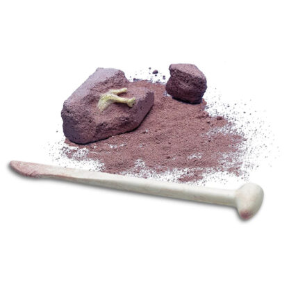 Kidz Labs / Creusez un dinosaure lumineux