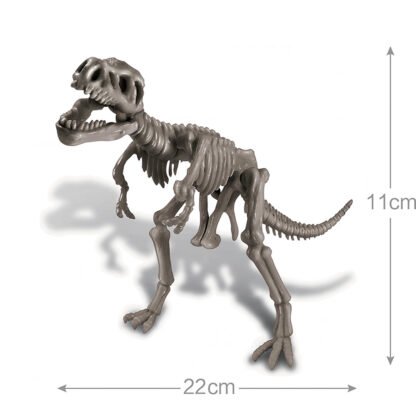 Kidz Labs / Tyrannosaure Rex Squelette
