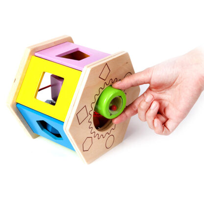 Shake and Match Shape Sor-4