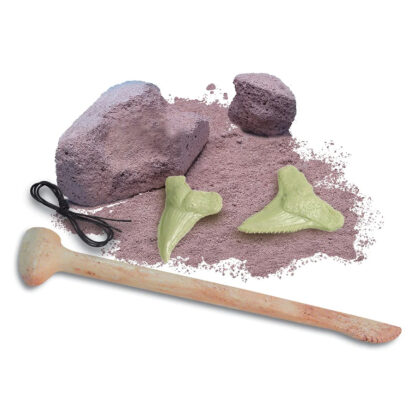 xFossiles de dents de requin Dig Glow-1