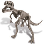 Kidz Labs / Tyrannosaure Rex Squelette