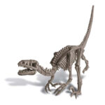 Kidz Labs / Creusez un dinosaure - Vélociraptor