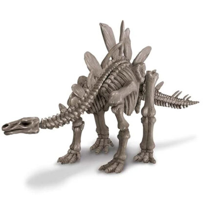 Creusez-un-dinosaure-Stegosaure
