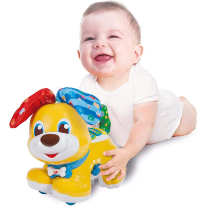 BIBOU, LE CHIEN QUI FAIT COUCOU !-1