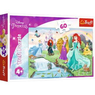 Meet the Princesses – Puzzle 60 pièces