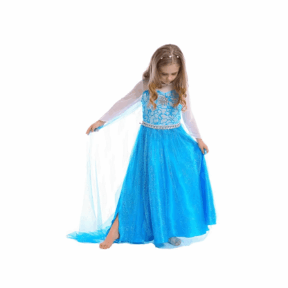 Deguisement La Reine Des Neiges Princesse