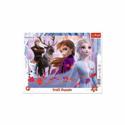 Puzzle Cadre – La Reine des Neiges