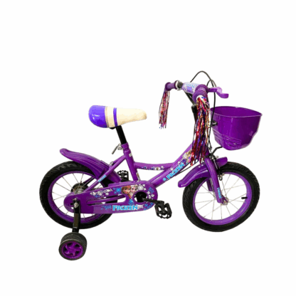 Vélo Reine des neiges 12 pouces – Violet