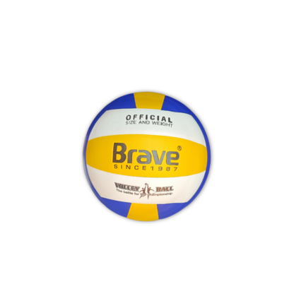 Ballon de volleyball