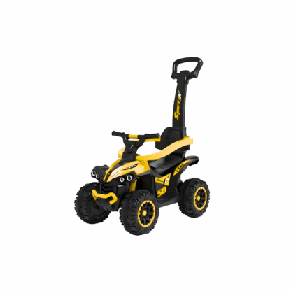 Quad à Pousser 3 en 1