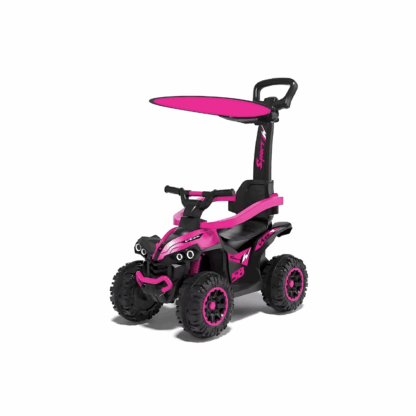 Quad à Pousser 3 en 1