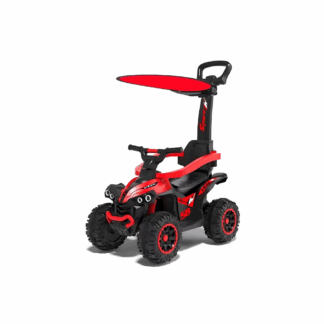 Quad à Pousser 3 en 1