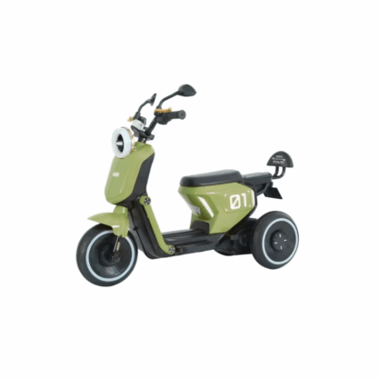 Tricycle électrique pour enfant 6 volts – Vert
