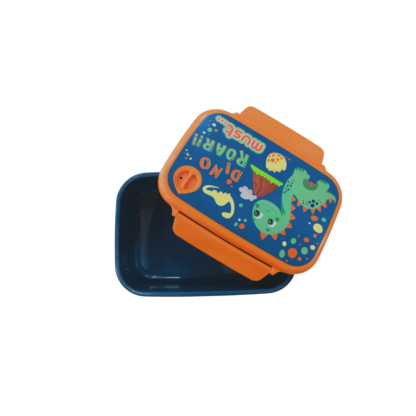 Set de gourde et lunchbox Dino 1