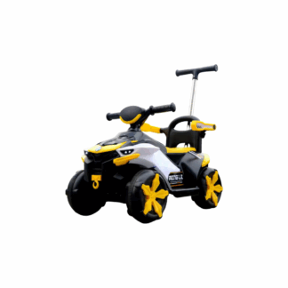 Mini Voiture électrique