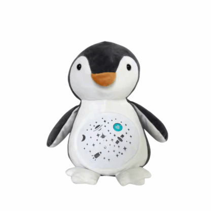 PINGOUIN PROJECTOR