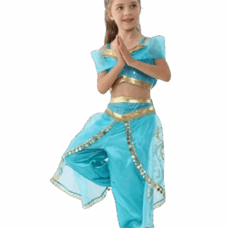 Déguisement Princesse Arabe-2