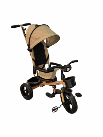 2 en 1 tricycle poussette enfant