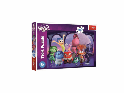 Puzzle inside out 2 100 pieces